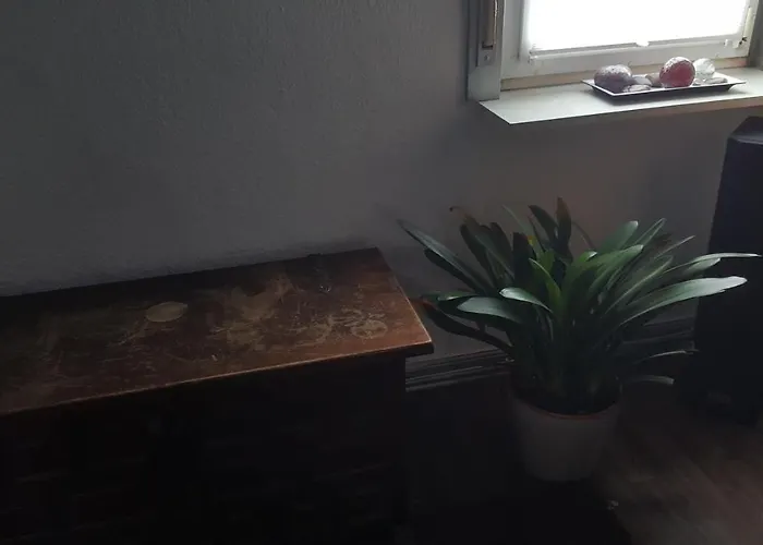 아파트 Kunterbunt *